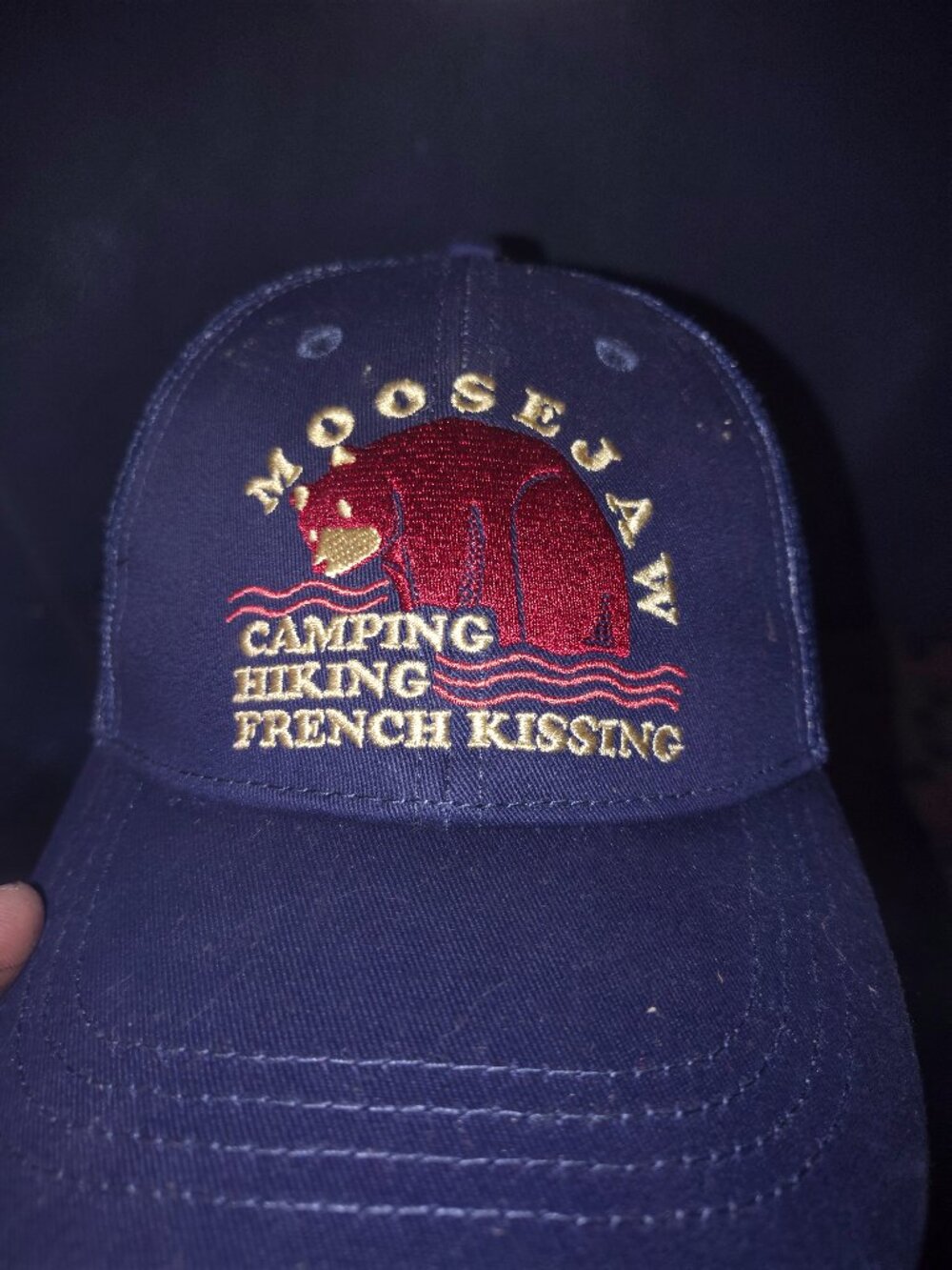 Vintage now defunct moose jaw outdoor co snapback